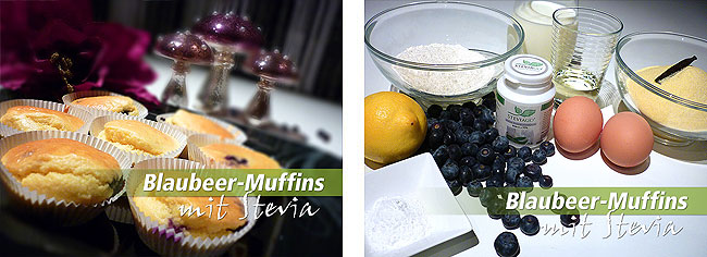 Backen mit Stevia - Rezept für Blaubeer-Muffins